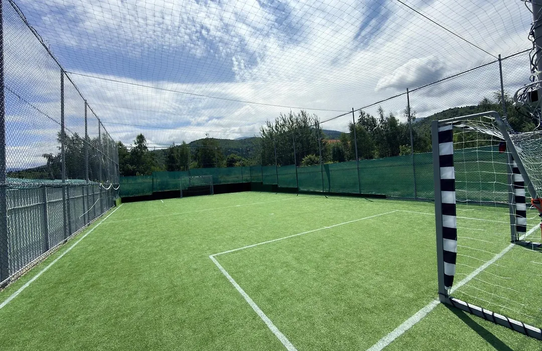 Pensiunea Mountain King-1